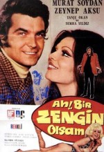 Ah Bir Zengin Olsam (1971) afişi