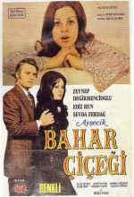 Ayşecik Bahar çiçeği (1971) afişi