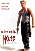 A Boy Called Hate (1995) afişi