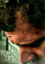 A Perfect Life (2011) afişi