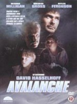 Avalanche (1994) afişi