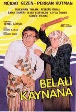 Belalı Kaynana/kaynanam Tatilde (1986) afişi