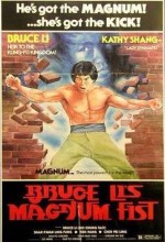 Bruce Li's Magnum Fist (1978) afişi