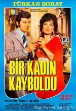 Bir Kadın Kayboldu (1971) afişi