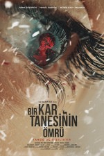 Bir Kar Tanesinin Ömrü (2022) afişi