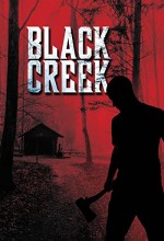 Black Creek (2017) afişi