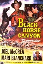 Black Horse Canyon (1954) afişi