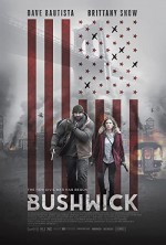 Bushwick (2017) afişi