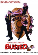 Busted (1997) afişi