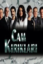 Cam Kırıkları (2009) afişi