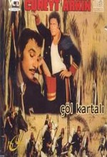Çöl Kartalı Çöl Kartalı