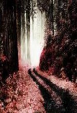 Crimson Forest (2009) afişi
