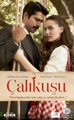 Çalıkuşu (2013) afişi