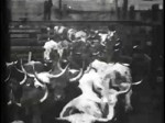 Cattle Driven To Slaughter (1897) afişi