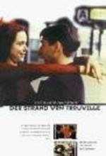Der Strand Von Trouville (1998) afişi
