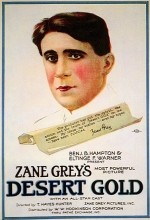 Desert Gold (1919) afişi