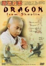 Dragon From Shaolin (1996) afişi