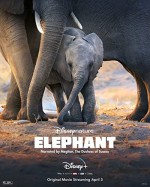 Elephant (2020) afişi