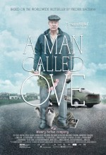Hayata Röveşata Çeken Adam (2015) afişi Hayata Röveşata Çeken Adam (2015) afişi