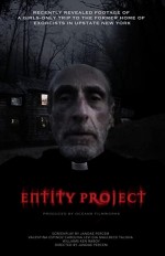 Entity Project (2019) afişi