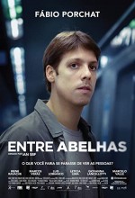 Entre Abelhas (2015) afişi
