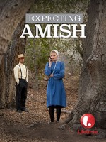 Expecting Amish (2014) afişi