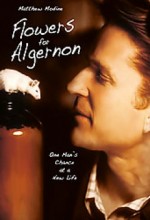 Flowers For Algernon (1999) afişi
