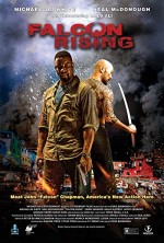 Falcon Rising (2014) afişi