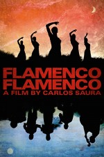 Flamenco, Flamenco (2010) afişi