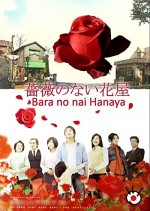 Gülsüz Çiçekçi (2008) afişi