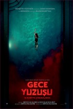 Gece Yüzüşü (2024) afişi