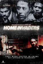 Home Invaders (2001) afişi