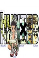 Hunter × Hunter (2011) afişi