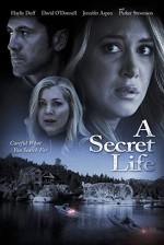 His Secret Family (2014) afişi