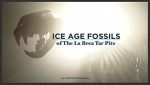 Ice Age Fossils Of The La Brea Tar Pits (2004) afişi