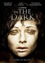In the Dark (2013) afişi