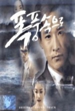 Into The Storm (1997) afişi