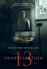 Investigation 13 (2019) afişi