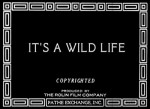 ıt's A Wild Life (1918) afişi