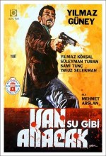 Kan Su Gibi Akacak (1969) afişi