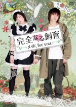 Kanzen Naru Shiiku: Maid For You (2010) afişi