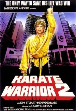 Karate Warrior 2 (1988) afişi