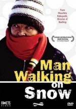 Karda Yürüyen Adam (2001) afişi