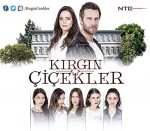 Kırgın Çiçekler (2015) afişi