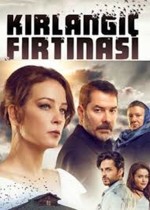 Kırlangıç Fırtınası (2017) afişi