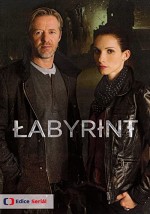 Labyrint (2015) afişi