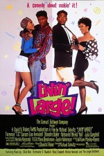 Livin' Large! (1991) afişi