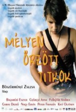 Mélyen örzött Titkok (2004) afişi