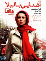 Meeting Leila (2012) afişi