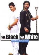 Mr. White Mr. Black (2008) afişi